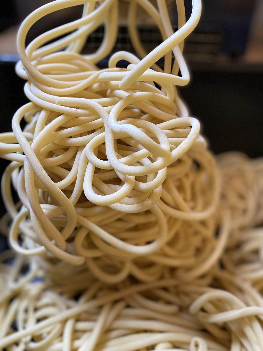 Fresh bucatini strands