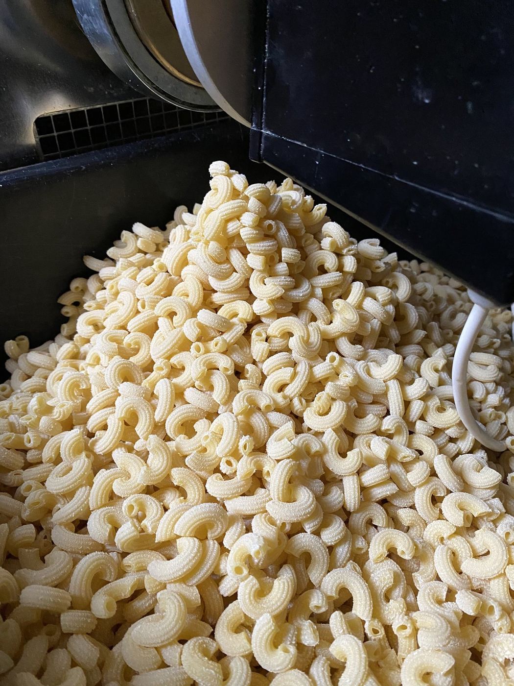 Fresh short pasta shapes