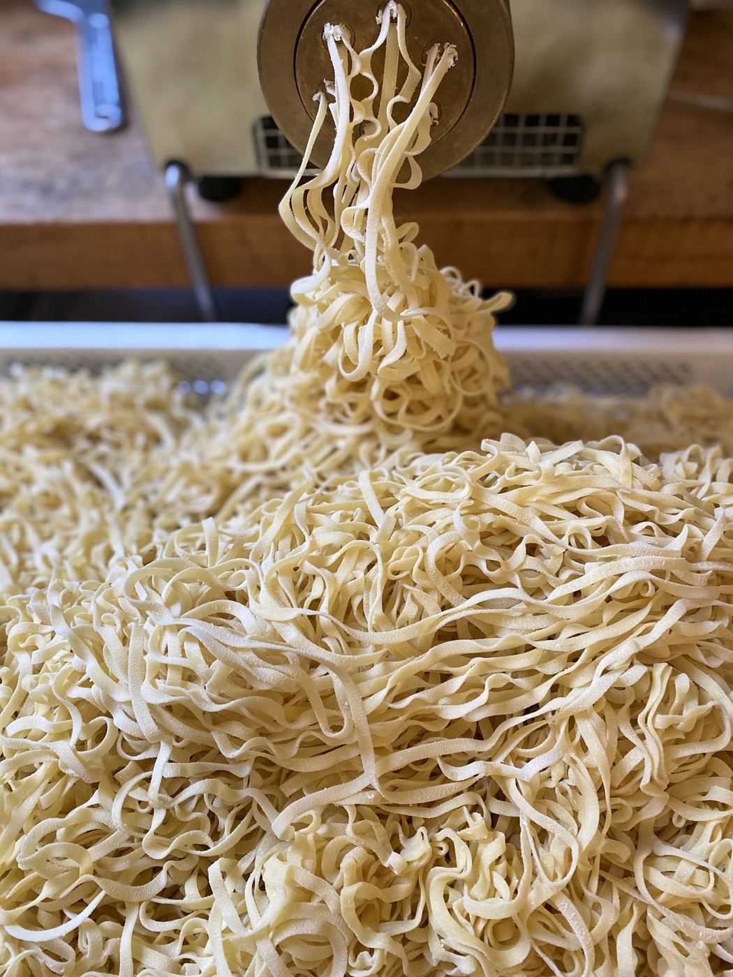Nests of fresh tagliatelle
