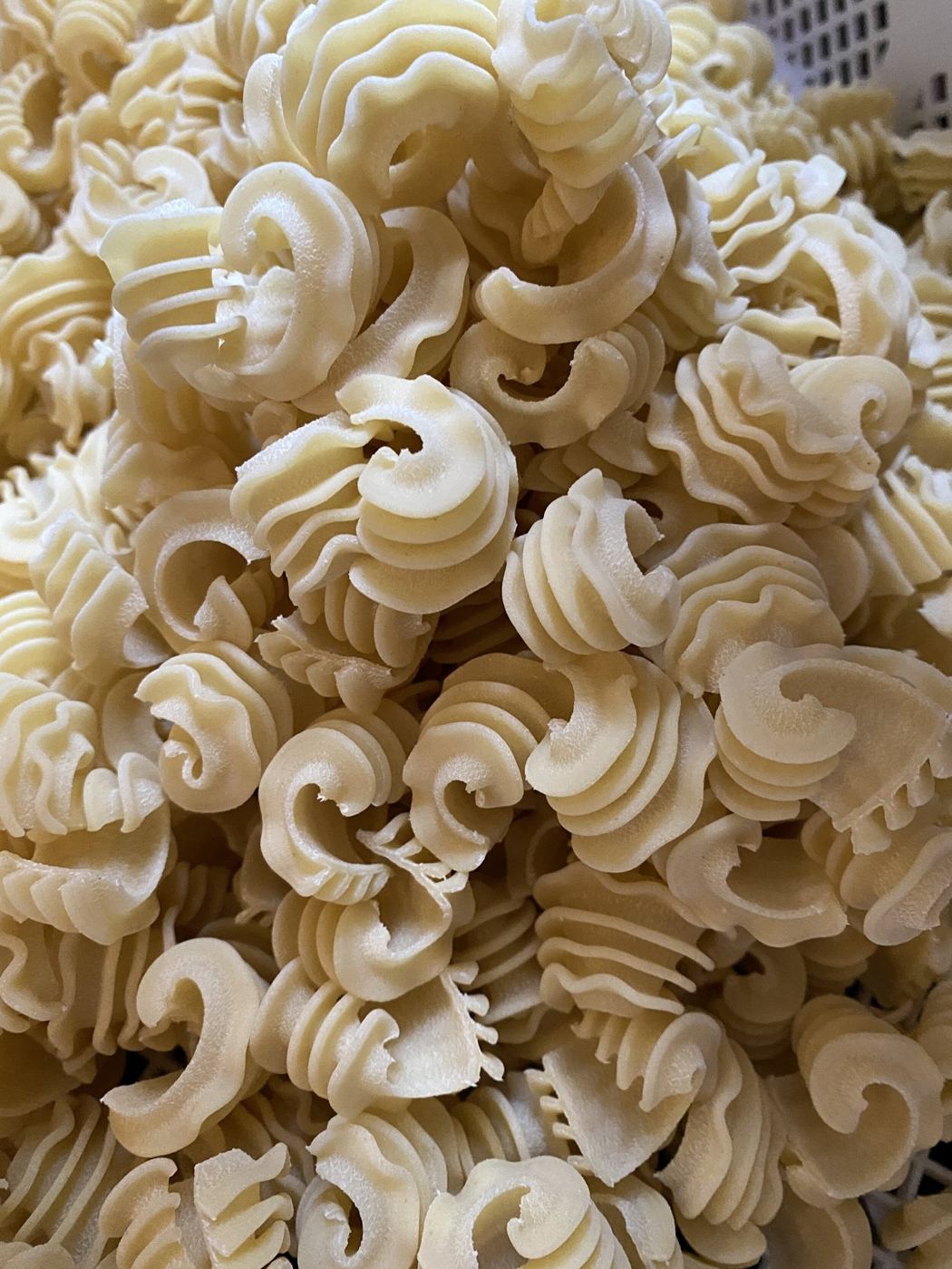 Fresh trumpete pasta